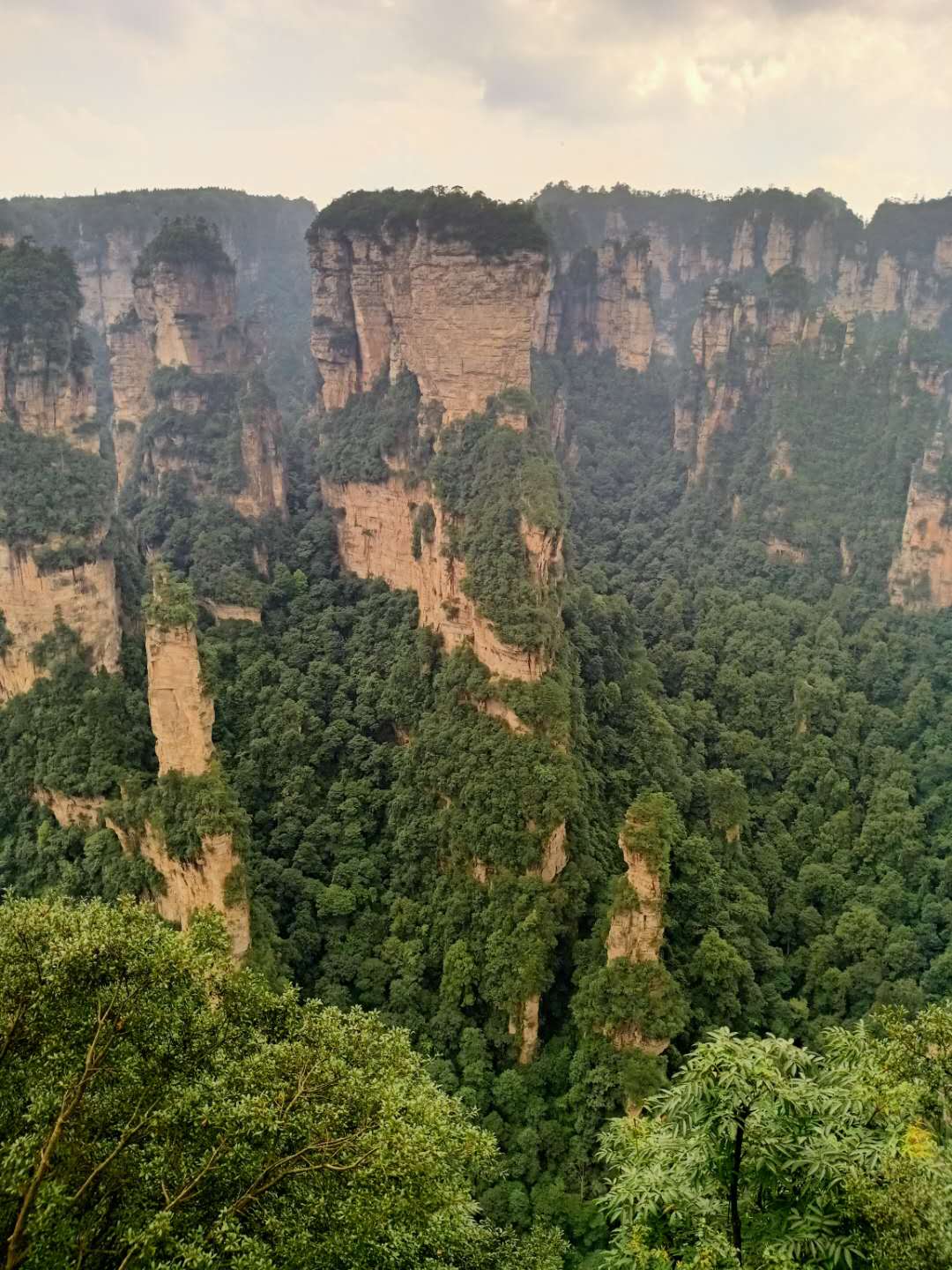 板式換熱器,板式換熱器機(jī)組,鈦材板式換熱器,板式冷凝器,全焊接板式換熱器,釬焊板式換熱器,衛(wèi)生級板式換熱器,寬流道板式換熱器,容積式換熱器,盤管換熱,換熱設(shè)備,板式冷卻器,換熱器廠家,換熱設(shè)備